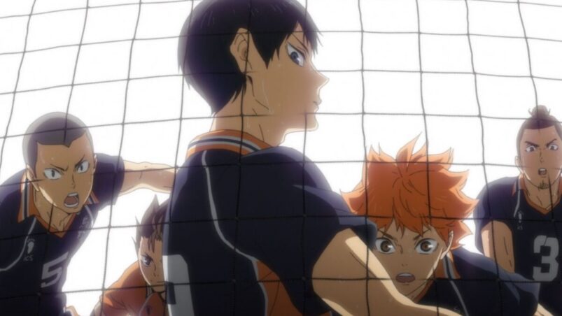 Haikyuu!! (Haikyu!!) 