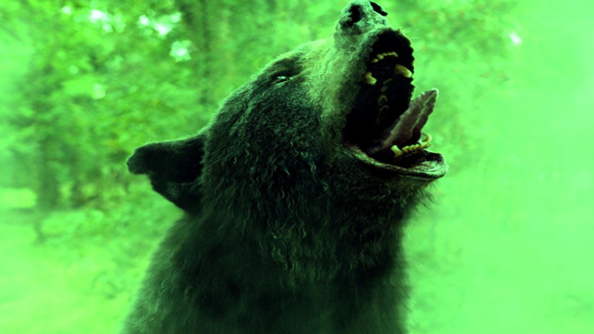 10 Best Animal Attack Movies to Watch If You Liked Cocaine Bear