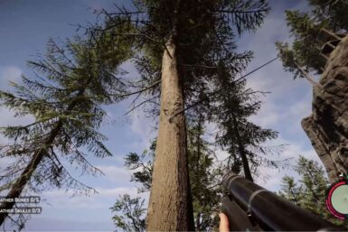 Rope Gun in Sons of the Forest