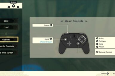 TOTK controls