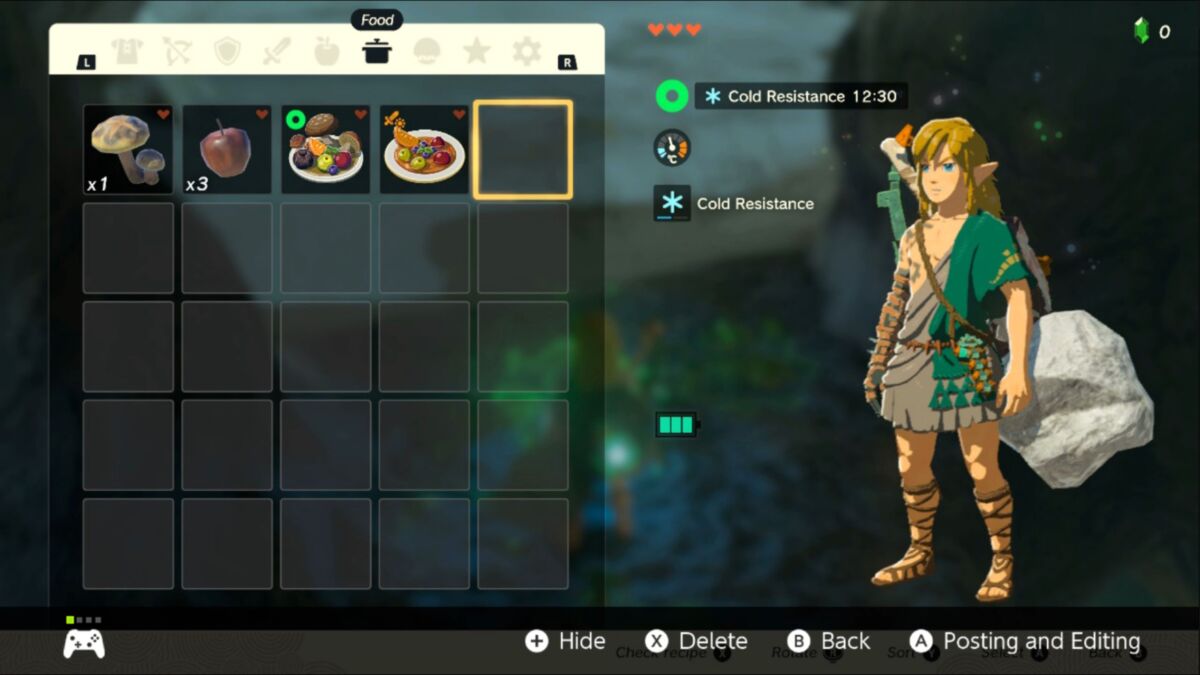 Zelda: Breath of the Wild - Getting cold resistance early with