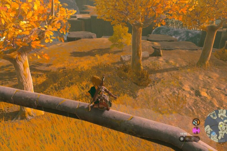 TOTK shield surfing
