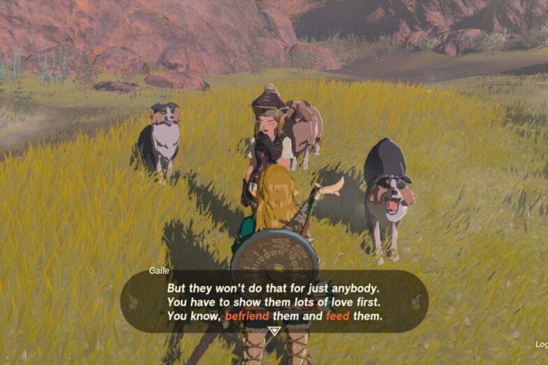 Zelda TOTK