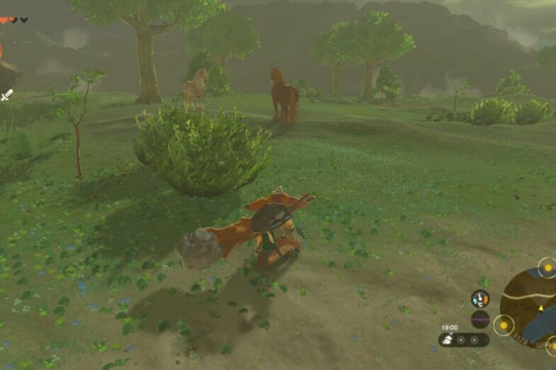 Horses TOTK
