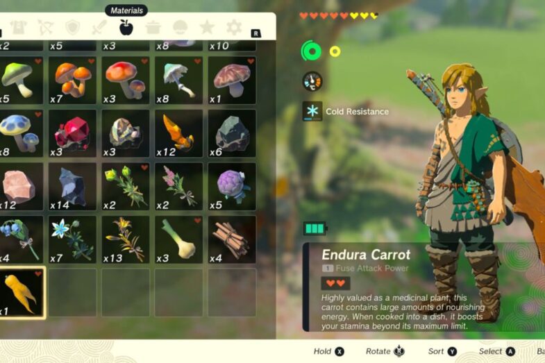Endura Carrot