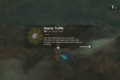 Hearty Truffle
