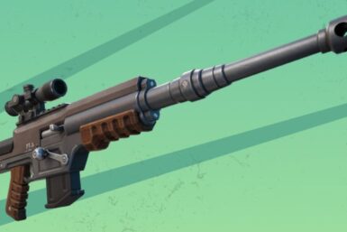 Fortnite Thermal DMR
