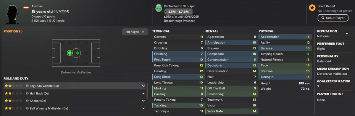 FM+24 - Lineup, Tactic and Ratings Tool