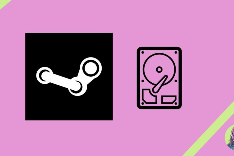 Steam Write Disk error