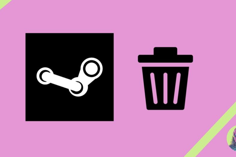 delete Steam