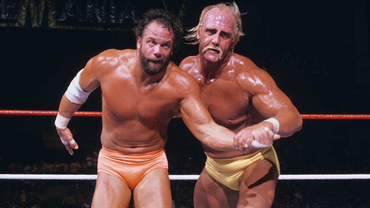Hogan vs Savage