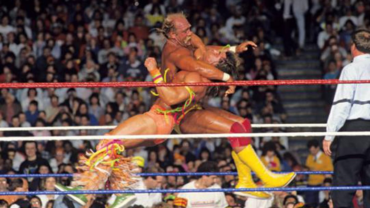 Hogan vs Warrior