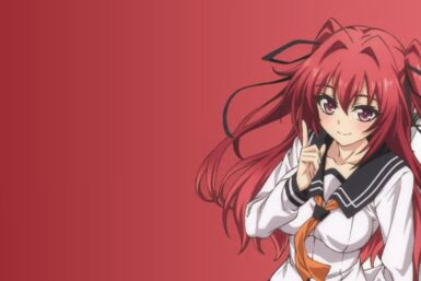 The Testament of Sister New Devil