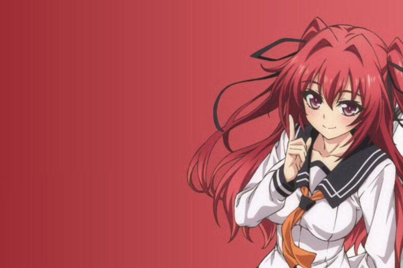 The Testament of Sister New Devil