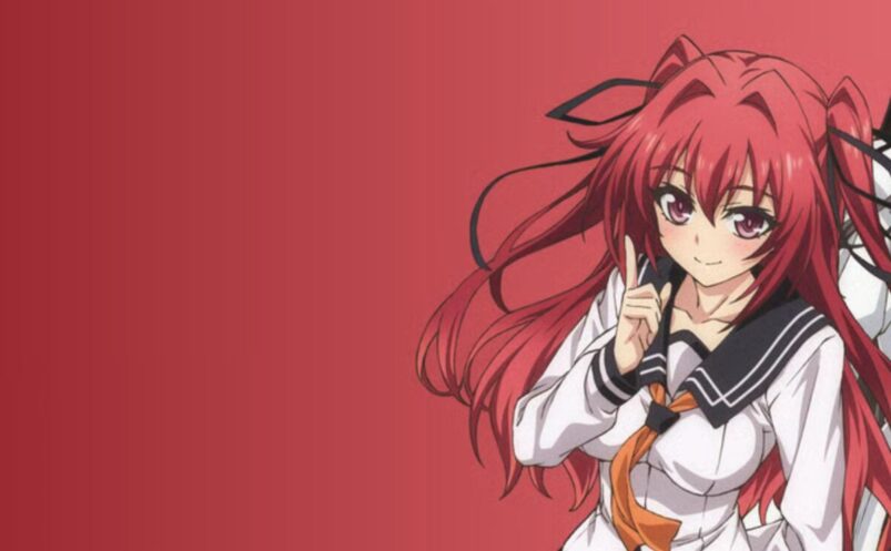 The Testament of Sister New Devil